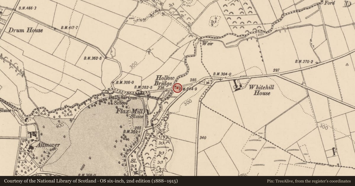 Ordnance Survey six-inch map, 2nd edition (1888–1915) covering the location of Hollow Bridge, Ballyharigan, Causeway Coast and Glens, with a pin at the register's coordinates