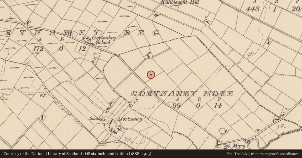 Ordnance Survey six-inch map, 2nd edition (1888–1915) covering the location of St Mary’s New Church, Gortnahey, Causeway Coast and Glens, with a pin at the register's coordinates