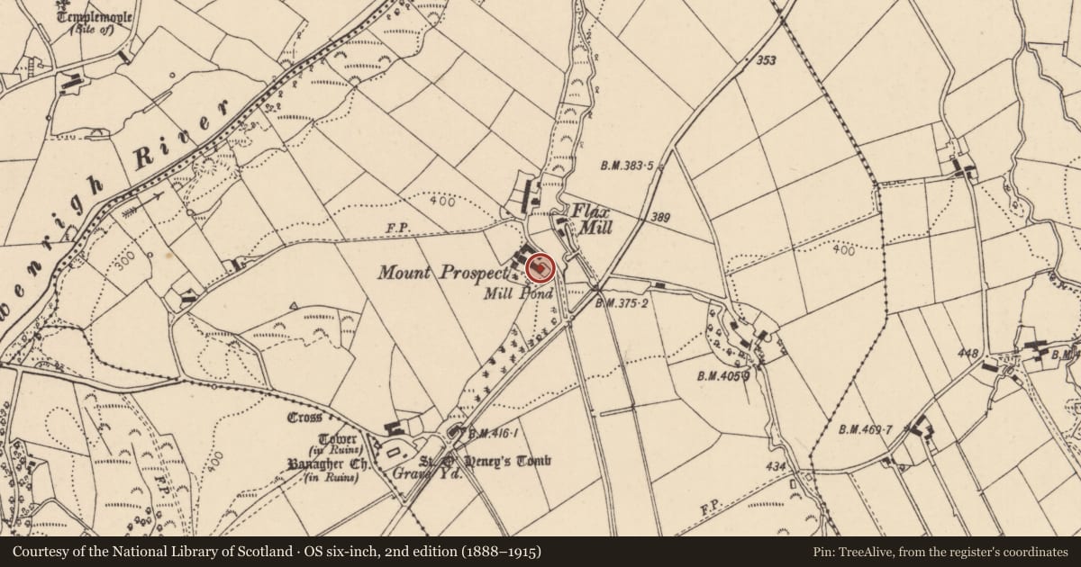 Ordnance Survey six-inch map, 2nd edition (1888–1915) covering the location of Mount Prospect House, Magheramore, Causeway Coast and Glens, with a pin at the register's coordinates