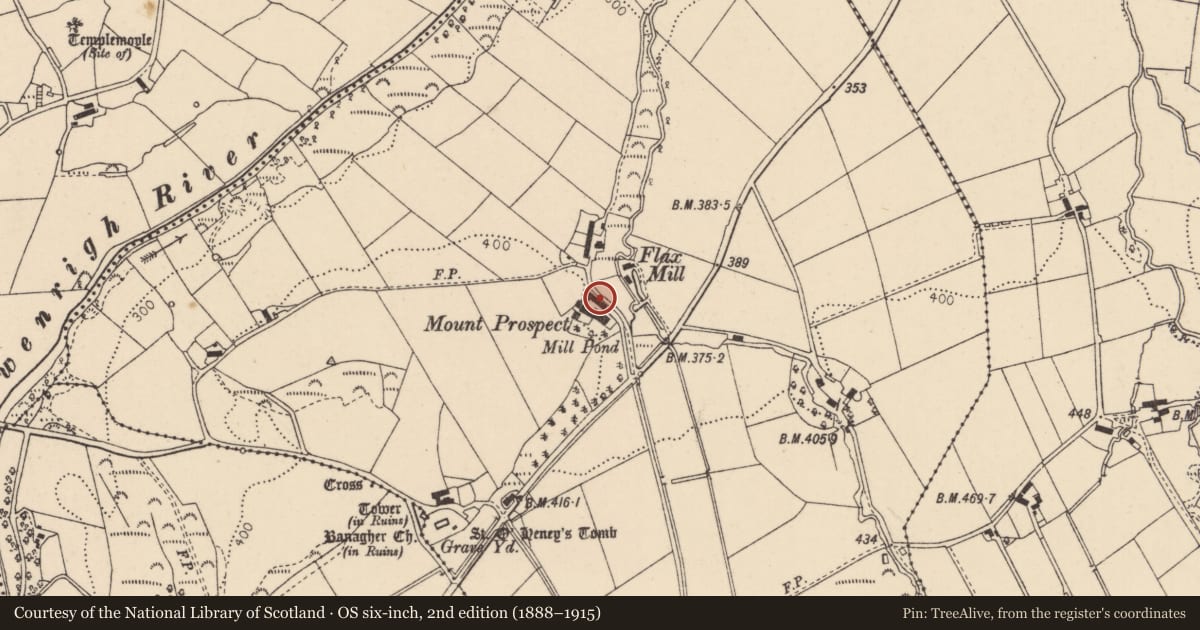 Ordnance Survey six-inch map, 2nd edition (1888–1915) covering the location of Mount Prospect House (Apartments.), Magheramore, Causeway Coast and Glens, with a pin at the register's coordinates