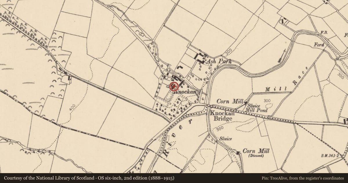 Ordnance Survey six-inch map, 2nd edition (1888–1915) covering the location of Knockan House, Causeway Coast and Glens, with a pin at the register's coordinates