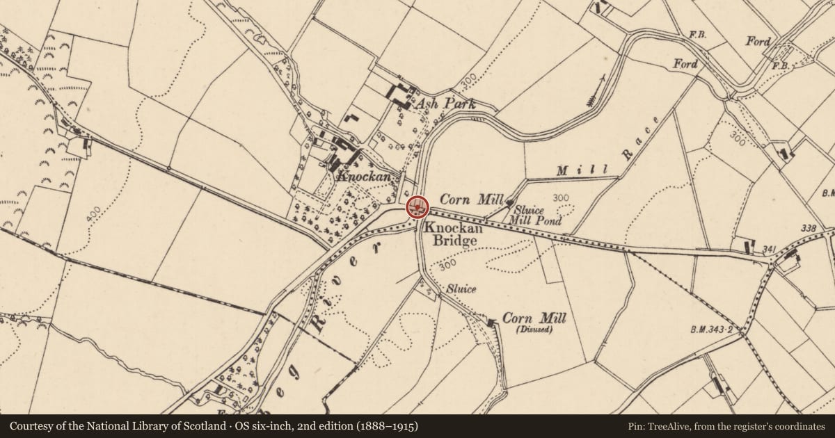 Ordnance Survey six-inch map, 2nd edition (1888–1915) covering the location of Knockan Bridge, Knockan/Gallany, Causeway Coast and Glens, with a pin at the register's coordinates