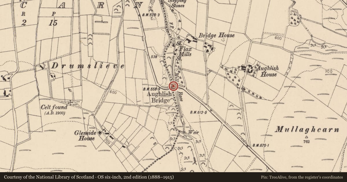 Ordnance Survey six-inch map, 2nd edition (1888–1915) covering the location of Aughlish Bridge, Causeway Coast and Glens, with a pin at the register's coordinates
