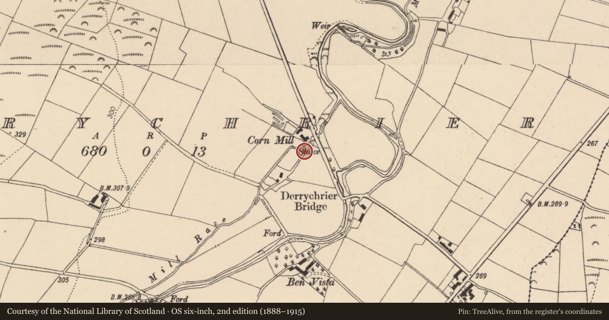 Ordnance Survey six-inch map, 2nd edition (1888–1915) covering the location of Former Mill, Derrychier, Causeway Coast and Glens, with a pin at the register's coordinates