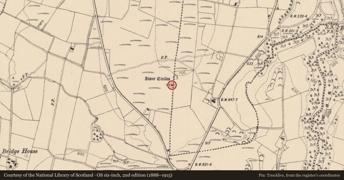 Ordnance Survey six-inch map, 2nd edition (1888–1915) covering the location of Stone Circles, Aughlish, Causeway Coast and Glens, with a pin at the register's coordinates