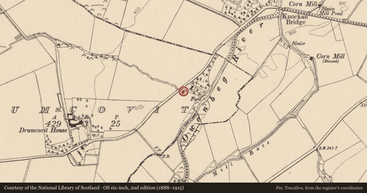 Ordnance Survey six-inch map, 2nd edition (1888–1915) covering the location of Bridge, Drumcovit, Causeway Coast and Glens, with a pin at the register's coordinates