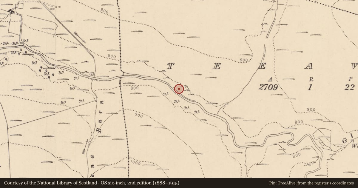 Ordnance Survey six-inch map, 2nd edition (1888–1915) covering the location of Altnaheglish Reservoir, Teeavan, Causeway Coast and Glens, with a pin at the register's coordinates