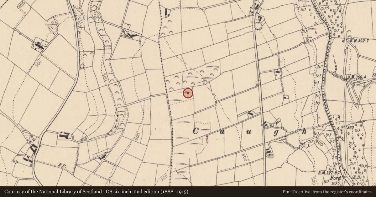 Ordnance Survey six-inch map, 2nd edition (1888–1915) covering the location of Stone circle, Templemoyle, Causeway Coast and Glens, with a pin at the register's coordinates