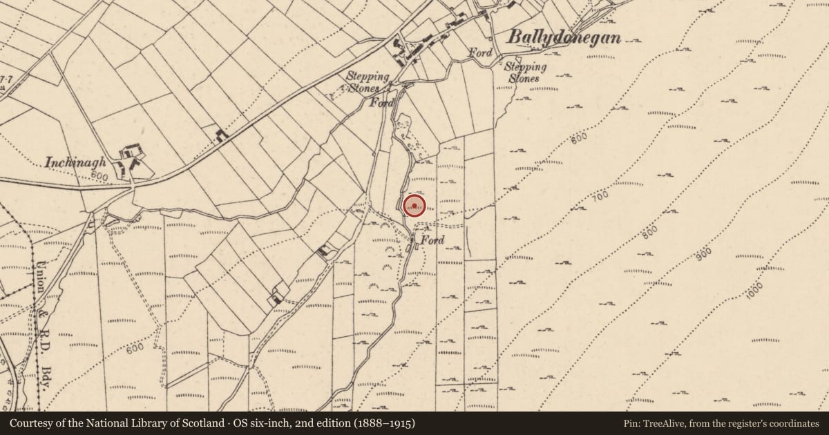 Ordnance Survey six-inch map, 2nd edition (1888–1915) covering the location of Sweathouse, Ballydonegan, Causeway Coast and Glens, with a pin at the register's coordinates