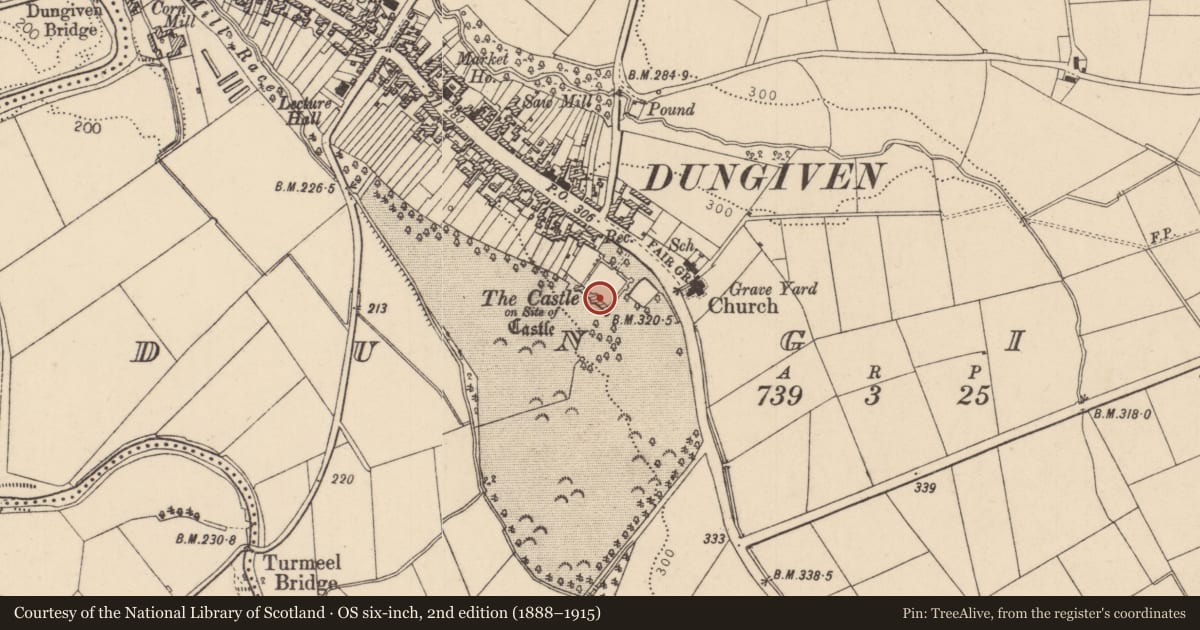 Ordnance Survey six-inch map, 2nd edition (1888–1915) covering the location of Dungiven Castle, Causeway Coast and Glens, with a pin at the register's coordinates