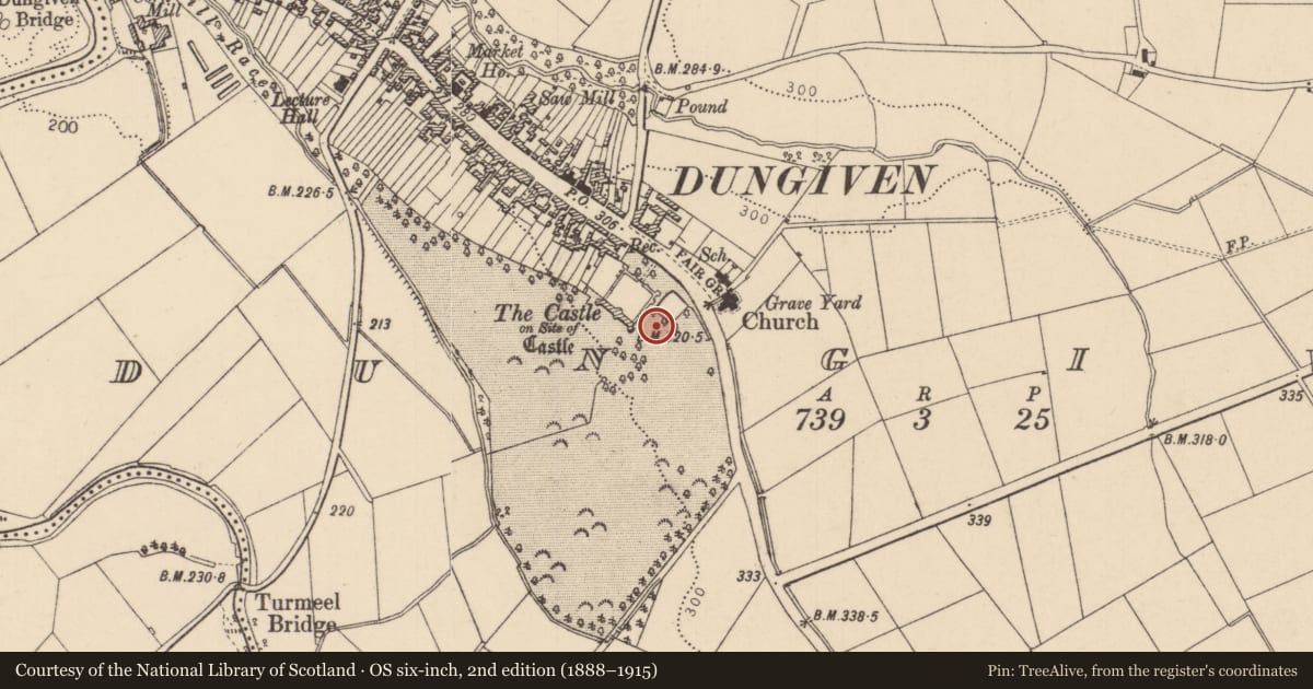 Ordnance Survey six-inch map, 2nd edition (1888–1915) covering the location of Former Bawn Wall, Dungiven, Causeway Coast and Glens, with a pin at the register's coordinates