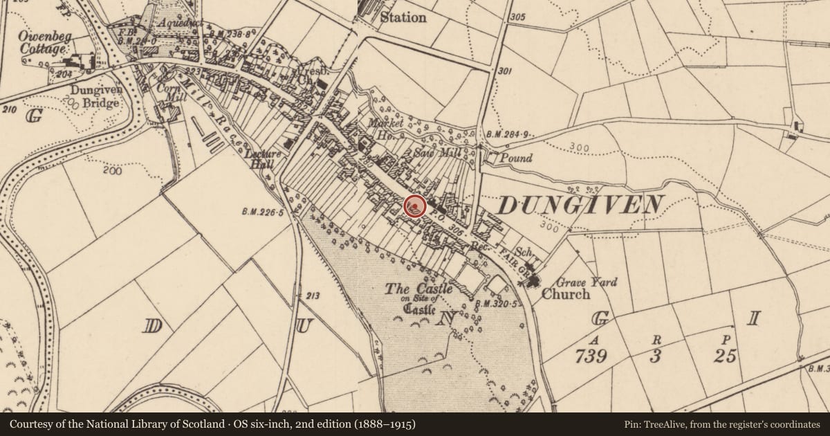 Ordnance Survey six-inch map, 2nd edition (1888–1915) covering the location of 113 Main Street, Dungiven, Causeway Coast and Glens, with a pin at the register's coordinates