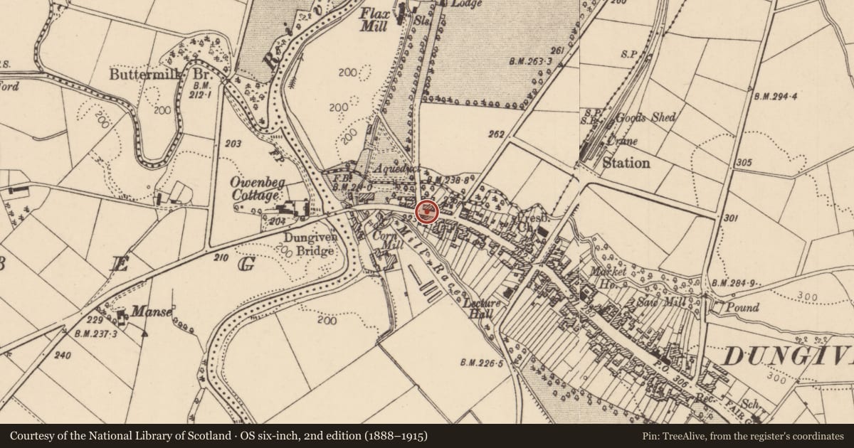 Ordnance Survey six-inch map, 2nd edition (1888–1915) covering the location of 7 Lower Main Street, Dungiven, Causeway Coast and Glens, with a pin at the register's coordinates