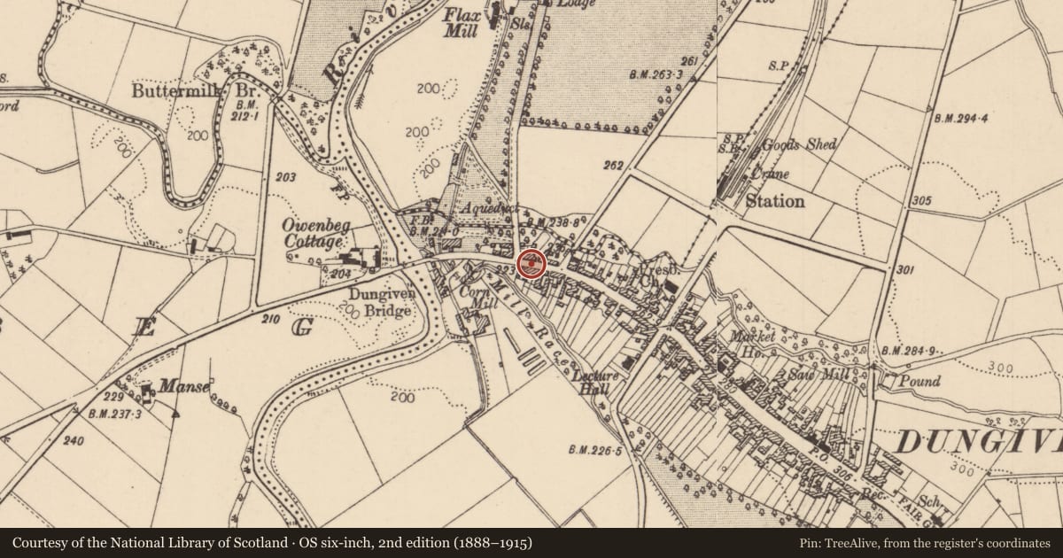 Ordnance Survey six-inch map, 2nd edition (1888–1915) covering the location of 9 Lower Main Street, Dungiven, Causeway Coast and Glens, with a pin at the register's coordinates