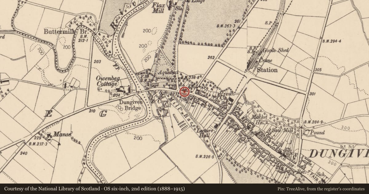 Ordnance Survey six-inch map, 2nd edition (1888–1915) covering the location of 11 Lower Main Street, Dungiven, Causeway Coast and Glens, with a pin at the register's coordinates