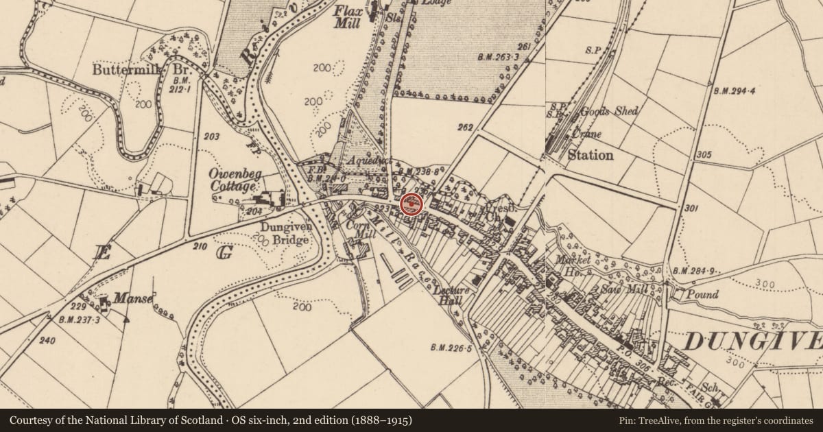Ordnance Survey six-inch map, 2nd edition (1888–1915) covering the location of 15 Lower Main Street, Dungiven, Causeway Coast and Glens, with a pin at the register's coordinates