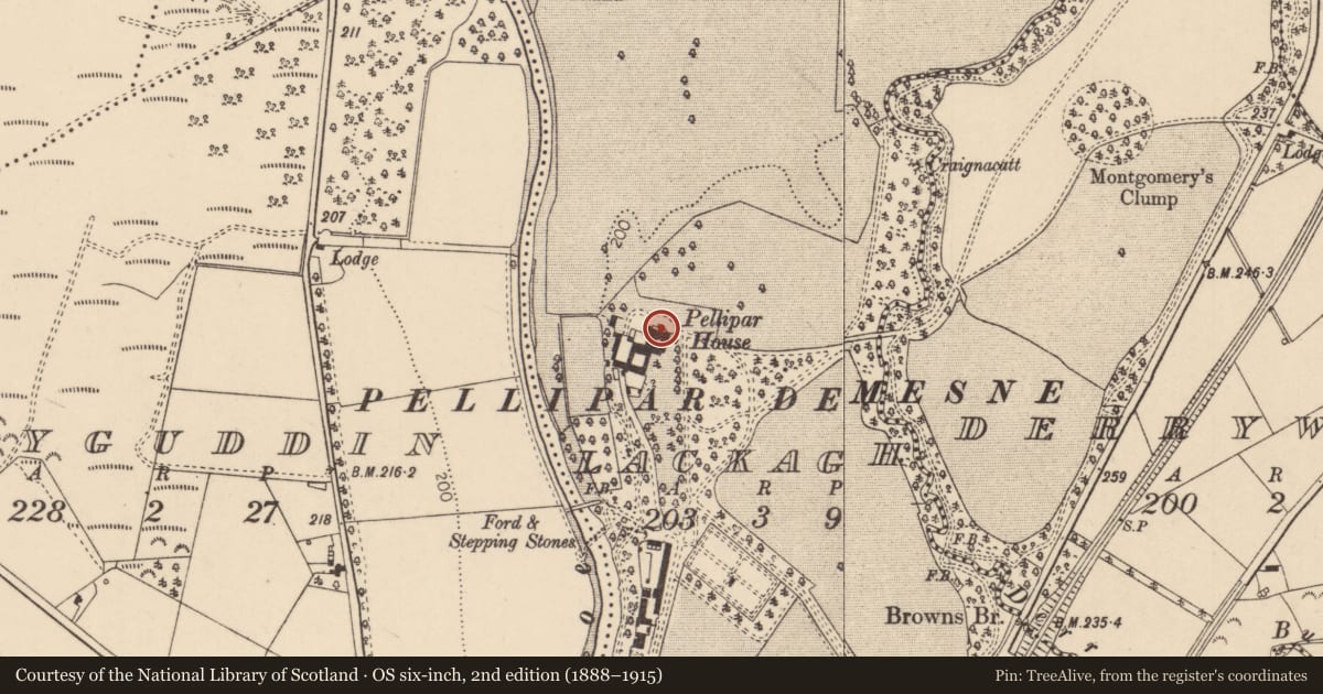 Ordnance Survey six-inch map, 2nd edition (1888–1915) covering the location of Pellipar House, Lackagh, Causeway Coast and Glens, with a pin at the register's coordinates