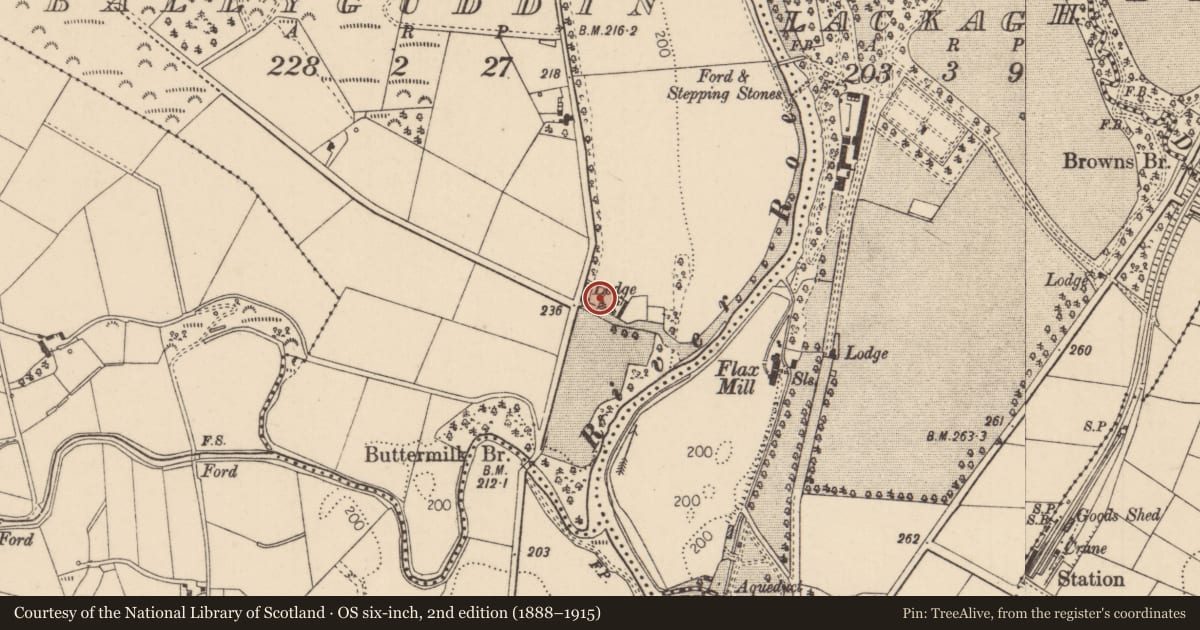 Ordnance Survey six-inch map, 2nd edition (1888–1915) covering the location of Gate Lodge, Ballyguddin, Causeway Coast and Glens, with a pin at the register's coordinates