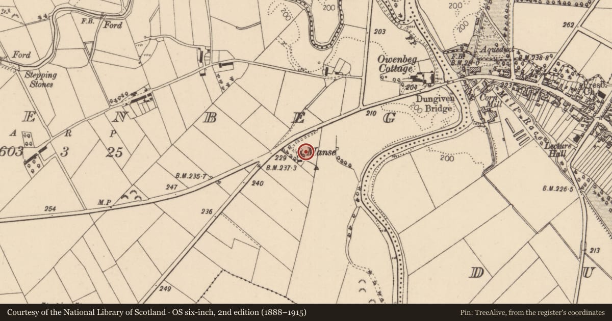 Ordnance Survey six-inch map, 2nd edition (1888–1915) covering the location of Manse, Owenbeg, Causeway Coast and Glens, with a pin at the register's coordinates