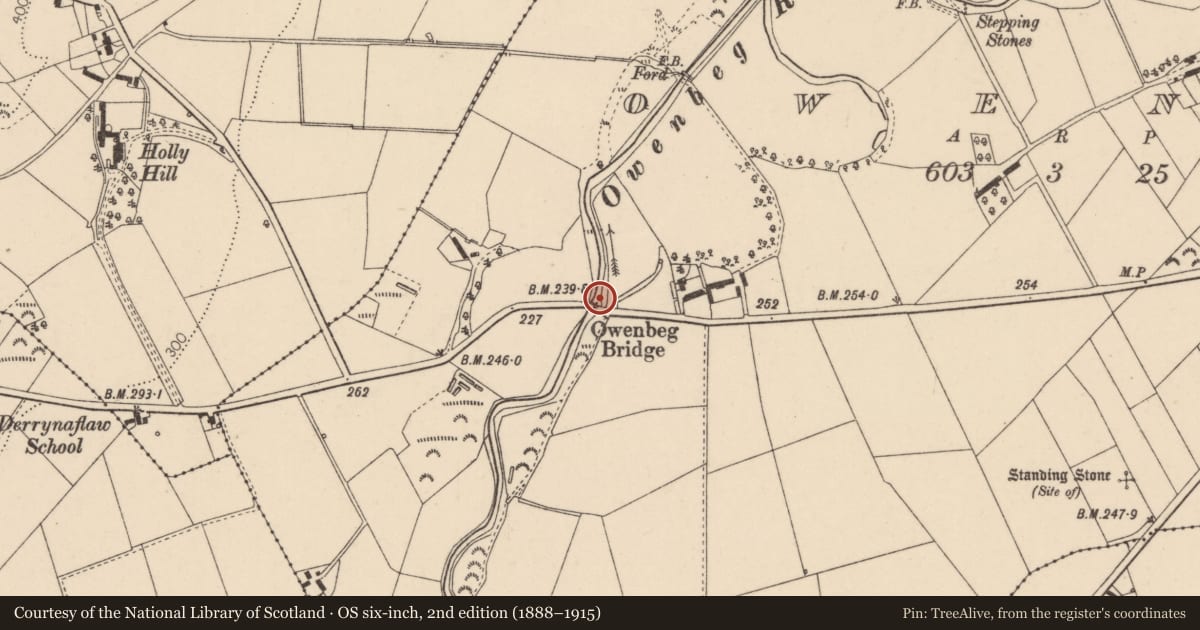 Ordnance Survey six-inch map, 2nd edition (1888–1915) covering the location of Owenbeg Bridge, Causeway Coast and Glens, with a pin at the register's coordinates