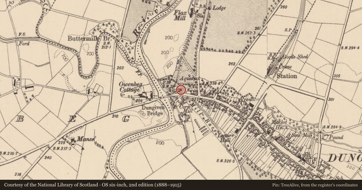 Ordnance Survey six-inch map, 2nd edition (1888–1915) covering the location of Strangemore House, Dungiven, Causeway Coast and Glens, with a pin at the register's coordinates