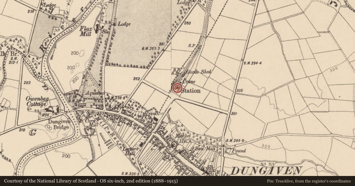 Ordnance Survey six-inch map, 2nd edition (1888–1915) covering the location of 10 Station Road, Dungiven, Causeway Coast and Glens, with a pin at the register's coordinates