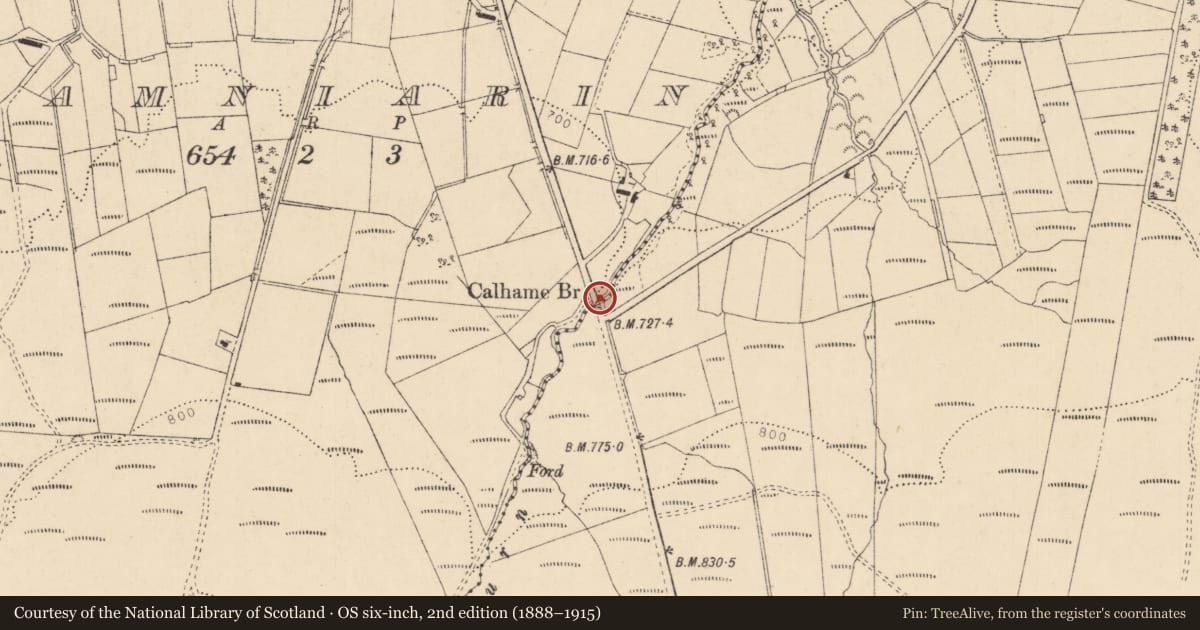 Ordnance Survey six-inch map, 2nd edition (1888–1915) covering the location of Calhame Bridge, Tamniarin, Causeway Coast and Glens, with a pin at the register's coordinates