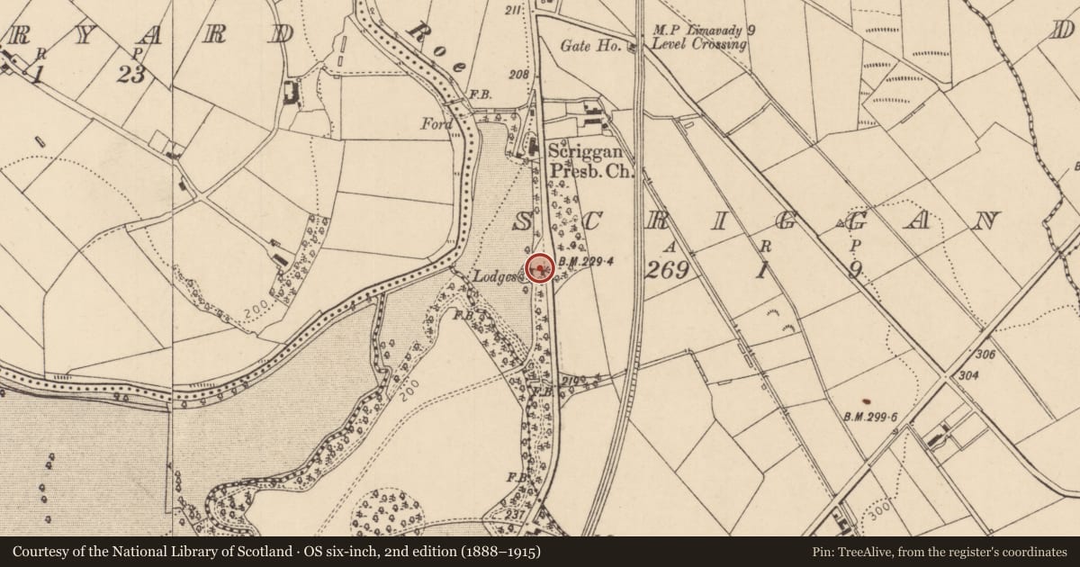 Ordnance Survey six-inch map, 2nd edition (1888–1915) covering the location of Gate Lodges, Scriggan, Causeway Coast and Glens, with a pin at the register's coordinates