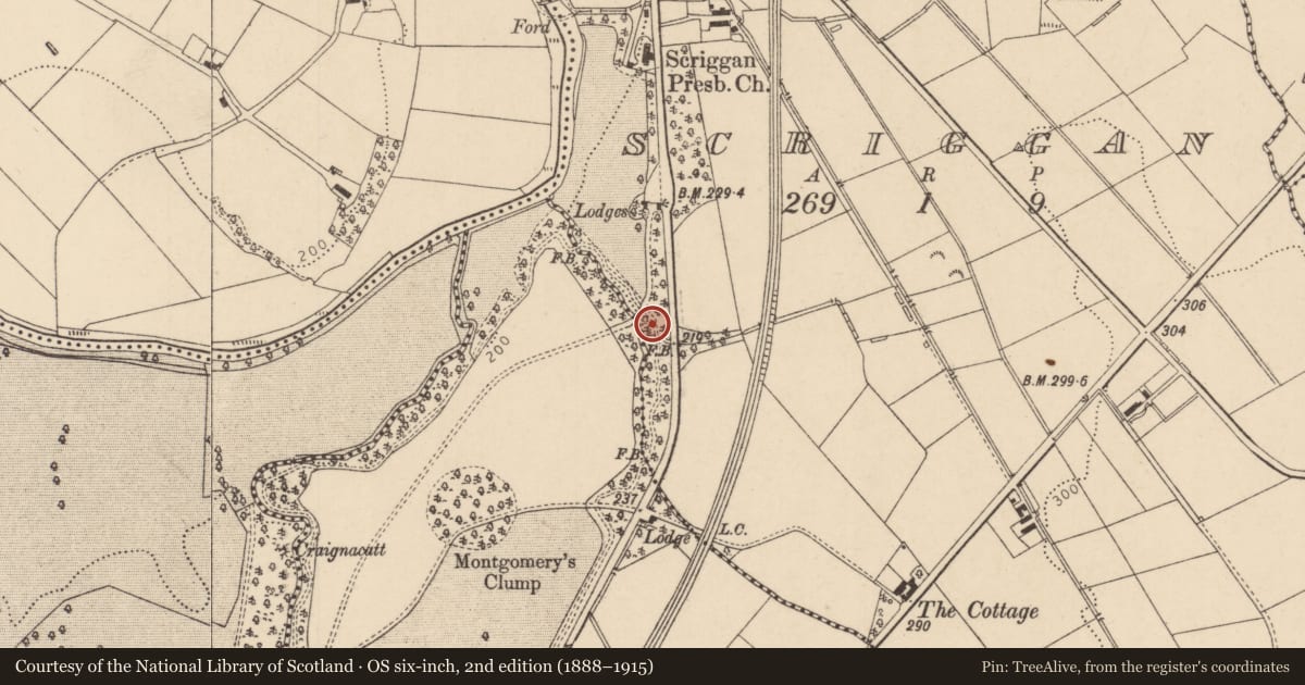 Ordnance Survey six-inch map, 2nd edition (1888–1915) covering the location of Bridge, Derryware, Causeway Coast and Glens, with a pin at the register's coordinates