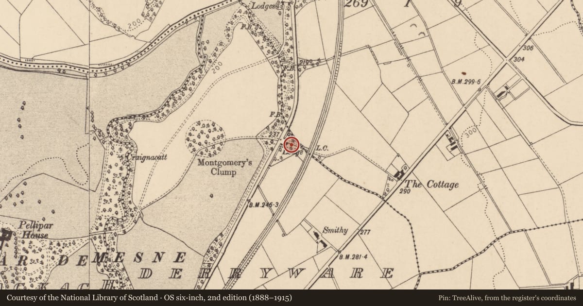 Ordnance Survey six-inch map, 2nd edition (1888–1915) covering the location of Former Lodge, Derryware, Causeway Coast and Glens, with a pin at the register's coordinates