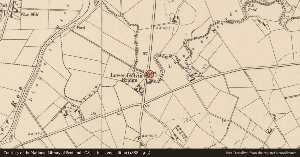 Ordnance Survey six-inch map, 2nd edition (1888–1915) covering the location of Lower Gelvin Bridge, Drumneechy, Causeway Coast and Glens, with a pin at the register's coordinates