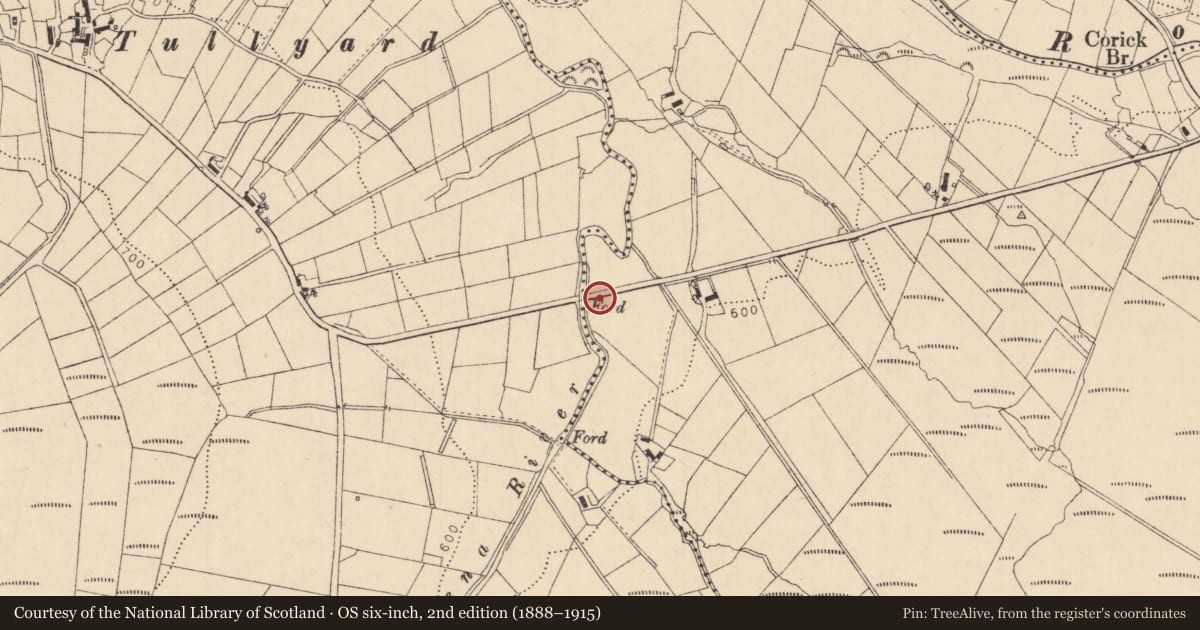 Ordnance Survey six-inch map, 2nd edition (1888–1915) covering the location of Bridge over Owenalena Burn, Corick, Causeway Coast and Glens, with a pin at the register's coordinates
