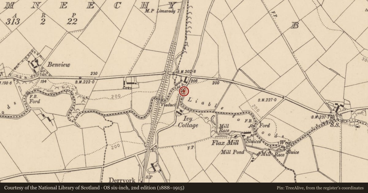 Ordnance Survey six-inch map, 2nd edition (1888–1915) covering the location of Bridge, Derryork, Causeway Coast and Glens, with a pin at the register's coordinates