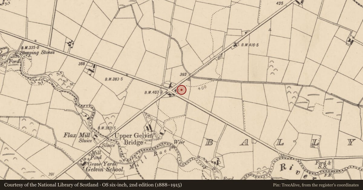 Ordnance Survey six-inch map, 2nd edition (1888–1915) covering the location of Ballymacallion Former School, Causeway Coast and Glens, with a pin at the register's coordinates