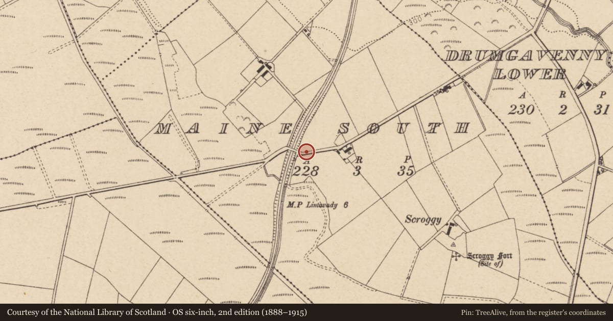 Ordnance Survey six-inch map, 2nd edition (1888–1915) covering the location of Former Railway Overbridge, Maine South, Causeway Coast and Glens, with a pin at the register's coordinates