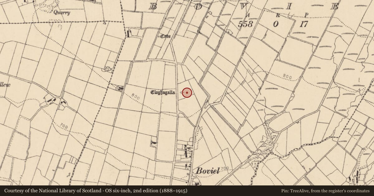 Ordnance Survey six-inch map, 2nd edition (1888–1915) covering the location of Cloghagalla, Boviel, Causeway Coast and Glens, with a pin at the register's coordinates