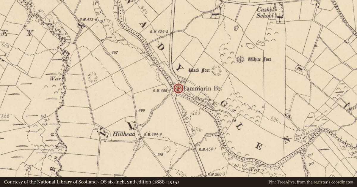 Ordnance Survey six-inch map, 2nd edition (1888–1915) covering the location of Tamniarin Bridge, Causeway Coast and Glens, with a pin at the register's coordinates