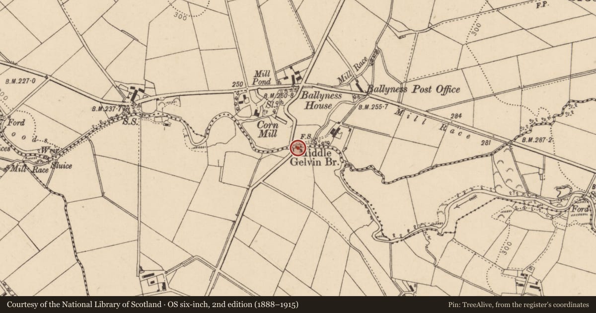 Ordnance Survey six-inch map, 2nd edition (1888–1915) covering the location of Middle Gelvin Bridge, Gortgarn, Causeway Coast and Glens, with a pin at the register's coordinates