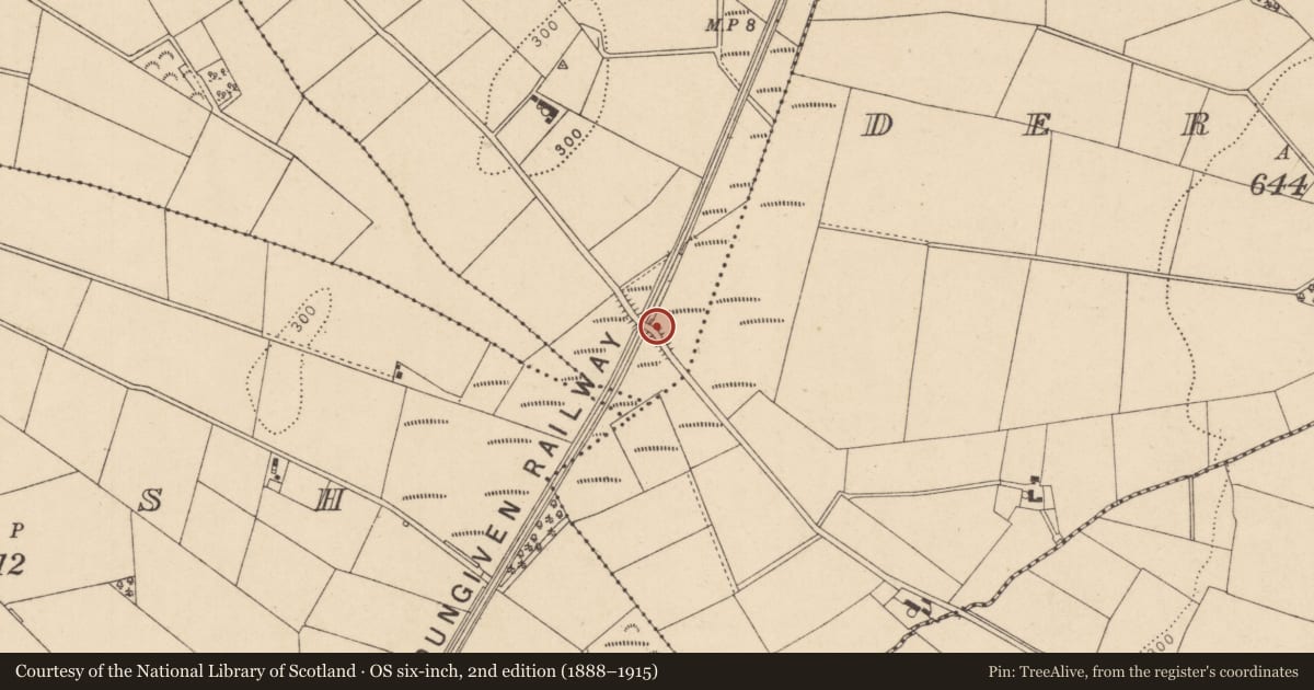 Ordnance Survey six-inch map, 2nd edition (1888–1915) covering the location of Former railway overbridge, Gortaclare, Causeway Coast and Glens, with a pin at the register's coordinates