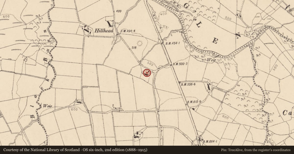 Ordnance Survey six-inch map, 2nd edition (1888–1915) covering the location of 31 Birren Road, Tamniarin, Causeway Coast and Glens, with a pin at the register's coordinates