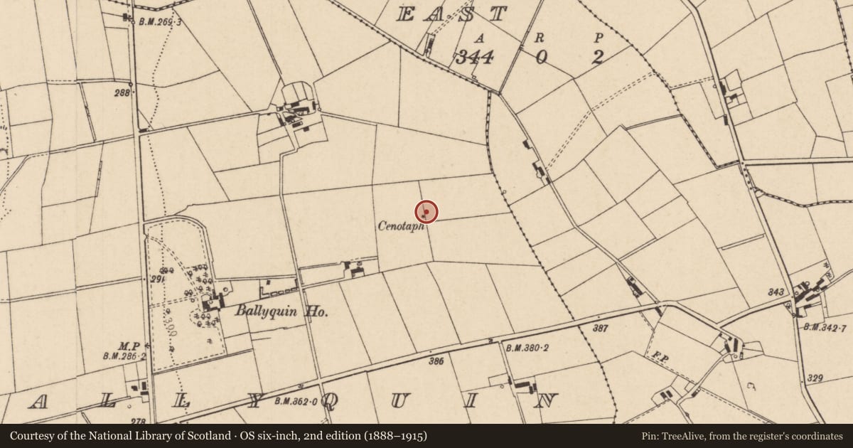 Ordnance Survey six-inch map, 2nd edition (1888–1915) covering the location of Cenotaph, Ballyquin, Causeway Coast and Glens, with a pin at the register's coordinates