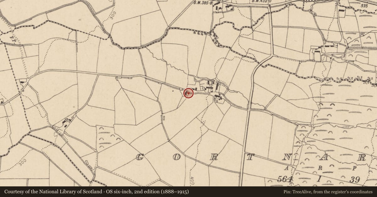 Ordnance Survey six-inch map, 2nd edition (1888–1915) covering the location of 21 Lislane Road, Gortnarney, Causeway Coast and Glens, with a pin at the register's coordinates