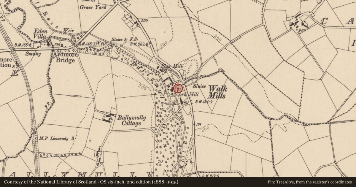 Ordnance Survey six-inch map, 2nd edition (1888–1915) covering the location of Walkmills, Ballymully, Causeway Coast and Glens, with a pin at the register's coordinates