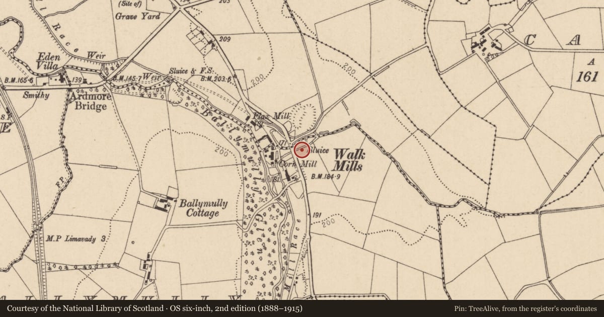 Ordnance Survey six-inch map, 2nd edition (1888–1915) covering the location of Walkmills Bridges, Ballymully, Causeway Coast and Glens, with a pin at the register's coordinates