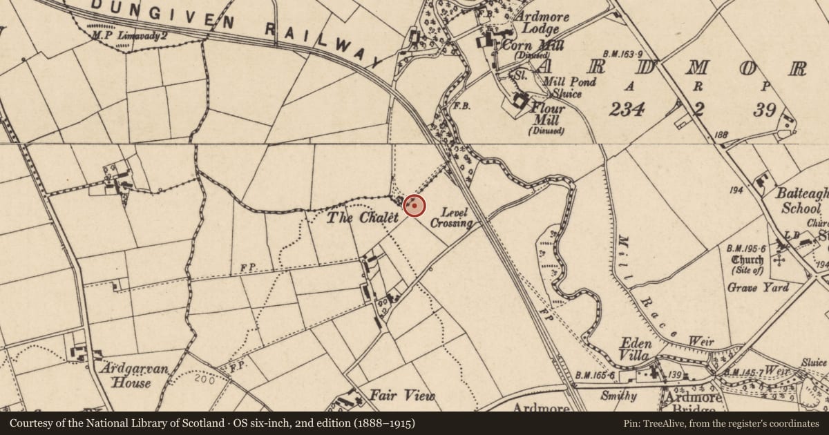 Ordnance Survey six-inch map, 2nd edition (1888–1915) covering the location of The Chalet, Edenmore, Causeway Coast and Glens, with a pin at the register's coordinates