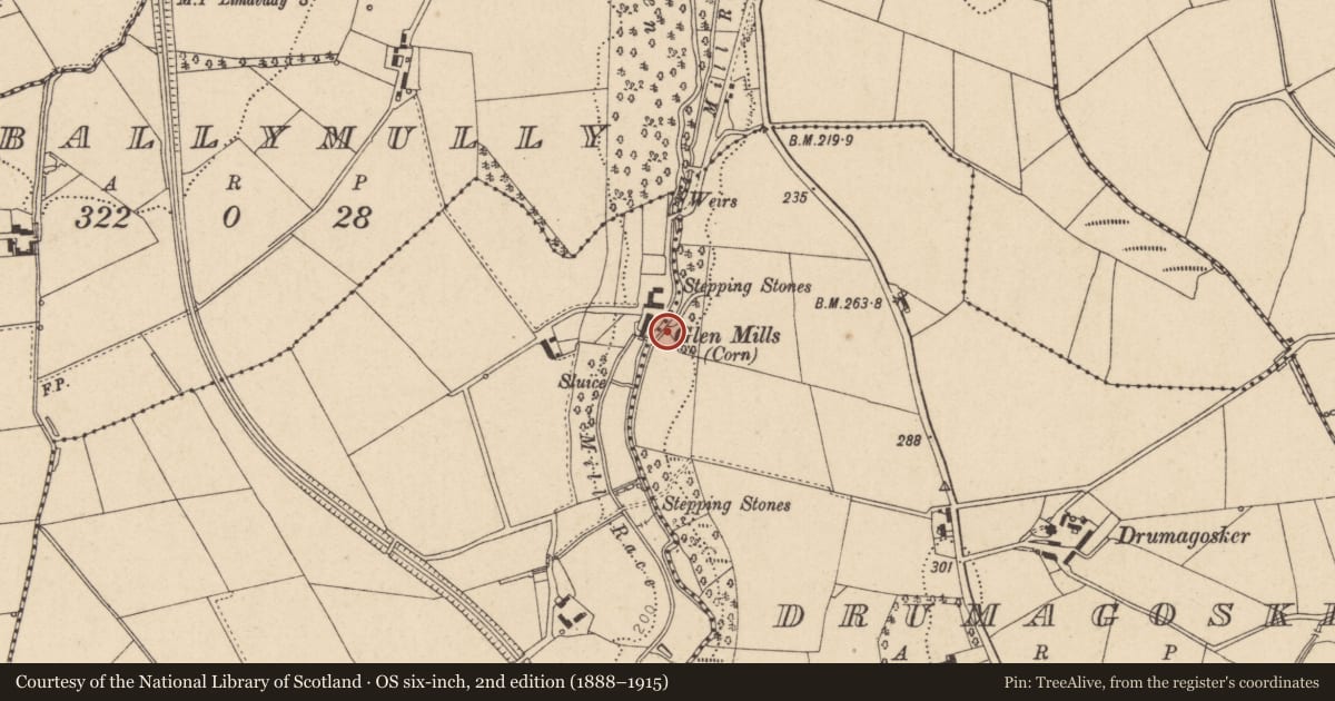 Ordnance Survey six-inch map, 2nd edition (1888–1915) covering the location of Grain Mills, Ballymully, Causeway Coast and Glens, with a pin at the register's coordinates