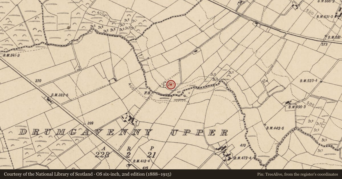 Ordnance Survey six-inch map, 2nd edition (1888–1915) covering the location of Rhellick, Kilhoyle, Causeway Coast and Glens, with a pin at the register's coordinates