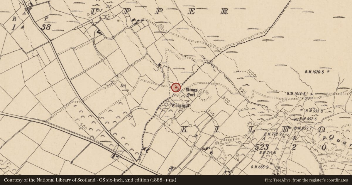 Ordnance Survey six-inch map, 2nd edition (1888–1915) covering the location of Kilhoyle Lime Works, Gortnarney, Causeway Coast and Glens, with a pin at the register's coordinates