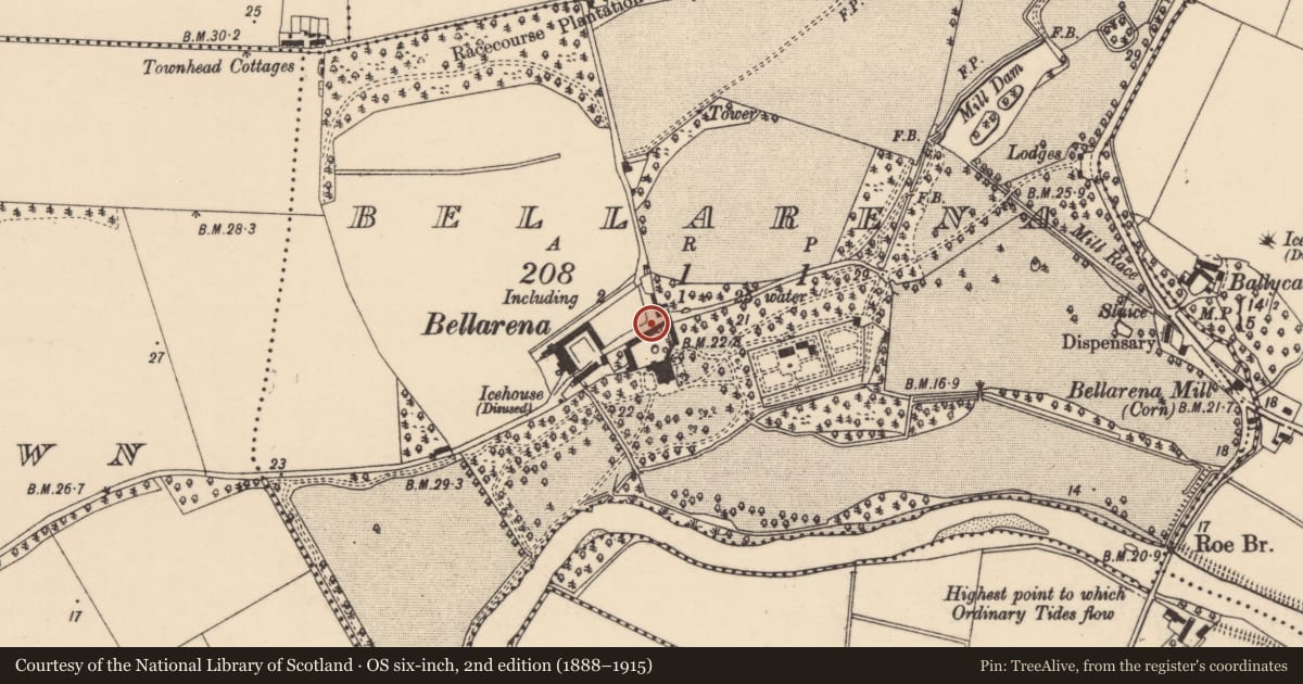 Ordnance Survey six-inch map, 2nd edition (1888–1915) covering the location of Courtyard Buildings, Bellarena, Causeway Coast and Glens, with a pin at the register's coordinates