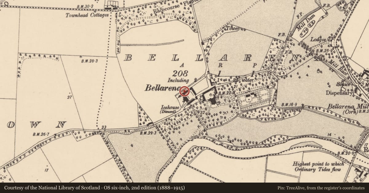 Ordnance Survey six-inch map, 2nd edition (1888–1915) covering the location of Estate Outbuildings, Bellarena, Causeway Coast and Glens, with a pin at the register's coordinates